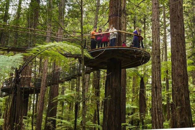 Overdag is het ook al genieten geblazen op de Redwoods Treewalk.