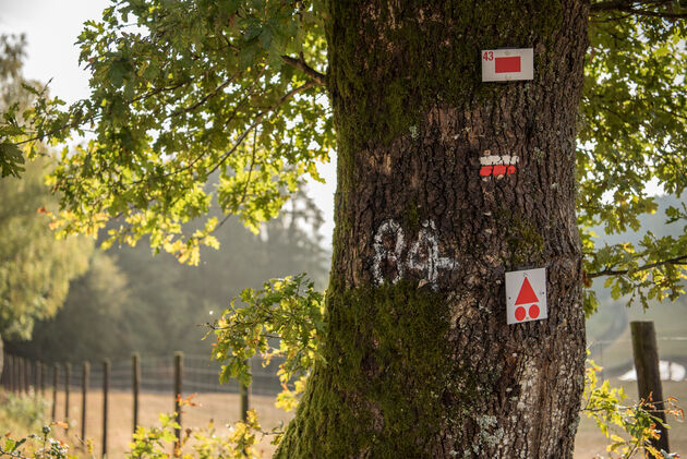 Vanaf de start van de laddertjeswandeling kun je de bordjes met route 43 volgen