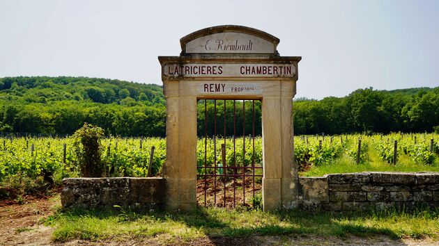 Eenmaal hier ontkom je er niet aan om even langs de wijngaard van Chambertin te rijden