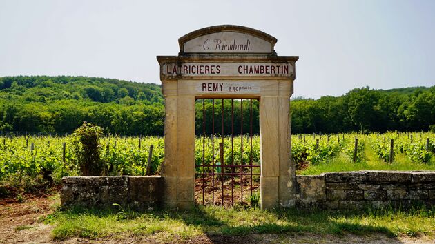 En om gelijk op niveau te beginnen rijden we langs een van de duurste wijngaarden van de Bourgogne