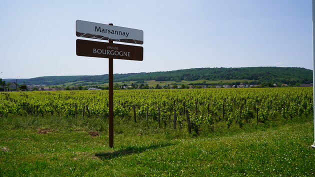 We beginnen de route in het noorden van de Bourgogne in Marsannay