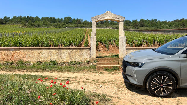 Op de route kom je langs een van de duurste wijgaarden ter wereld: de Puligny Montrachet