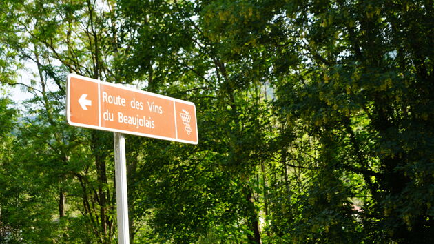 De Route des Vins du Beaujolais die we noord naar zuid gaan rijden