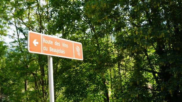 De Route des Vins du Beaujolais die we noord naar zuid gaan rijden