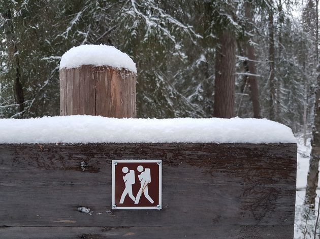 Hiking in Lapland