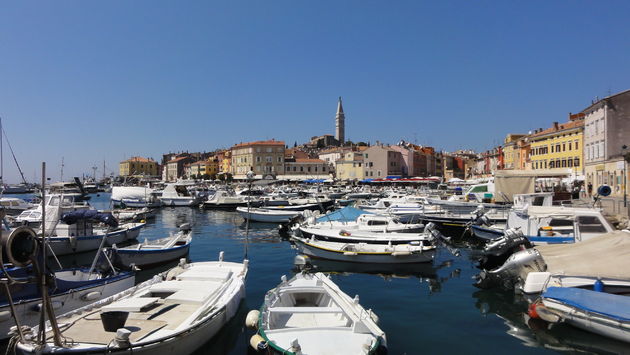 De haven van Rovinj is een bezoekje waard!