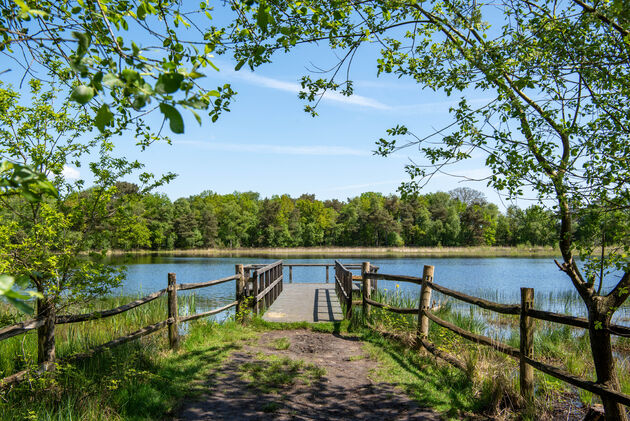 Het Rozenven is een van de meest romantische plekken in West-Brabant