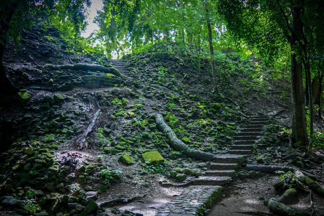 Door de jungle lopen we naar de oude stad van de Maya`s