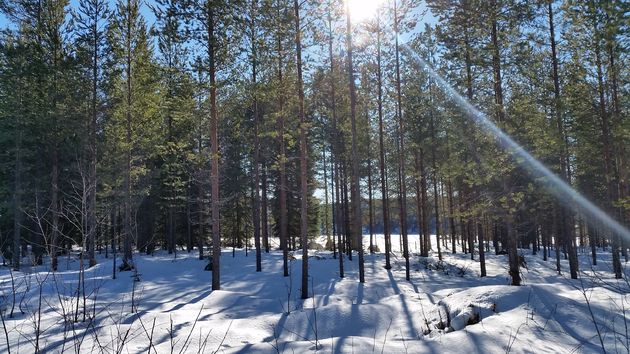 Stilte en rust in Golf of Lapland