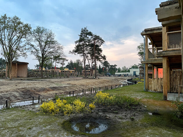 `s Avonds genieten van uitzicht op de savanne