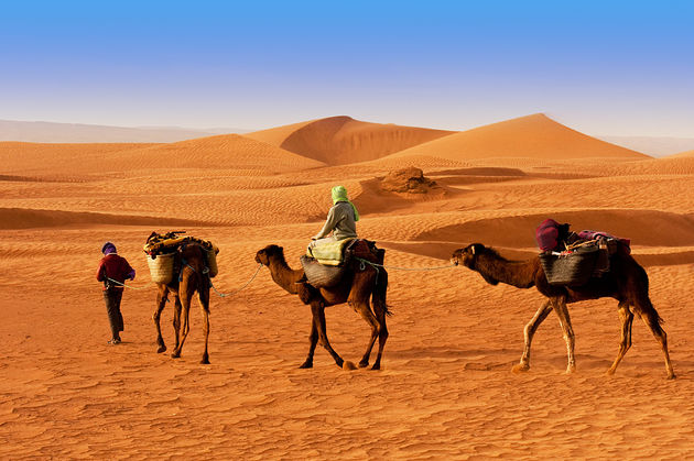 In de Sahara is het overdag heet en `s nachts koud.Afbeelding - Adobe Stock: <span class=\