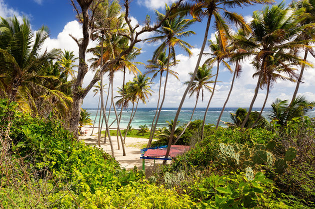 Saint Lucia in de Cara\u00efben\u00a9 dpvue studio