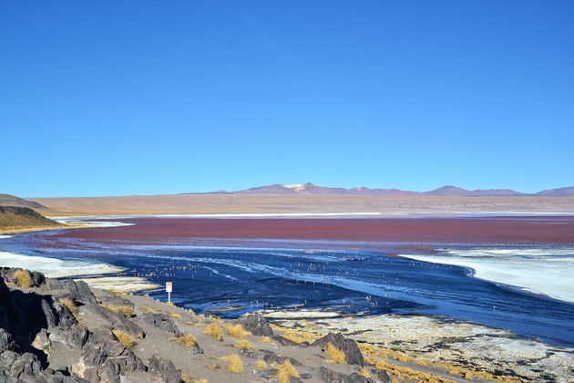 Prachtig gekleurd meer met rode mineralen en flamingo\u00b4s.