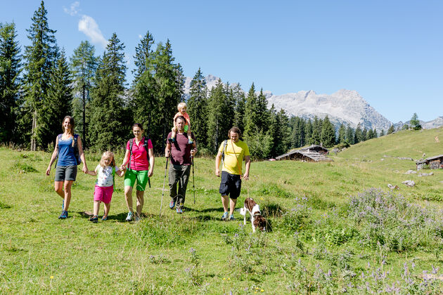 Je vindt er ideale wandelingen voor het hele gezin