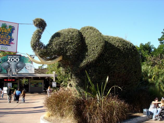 Dieren kijken in San Diego Zoo!