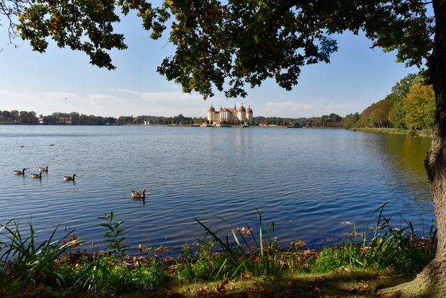 Schloss Moritzburg vanaf de andere kant van de kasteelvijver