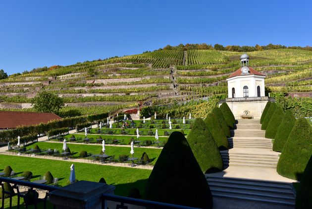 De wijnvelden liggen schitterend tegen een heuvel op