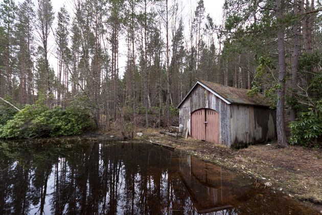 schotland-natuur-12