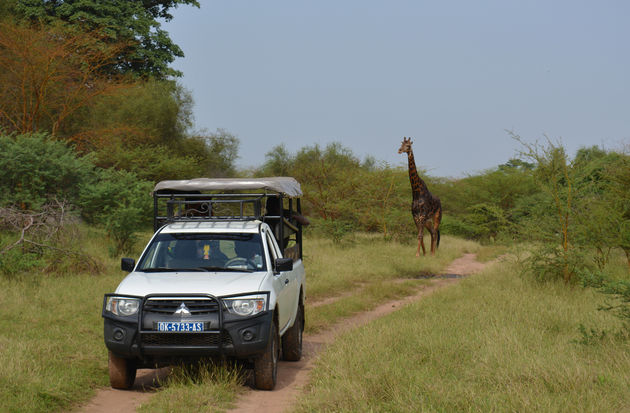 Op safari in Senegal: Bandia Game Reserve