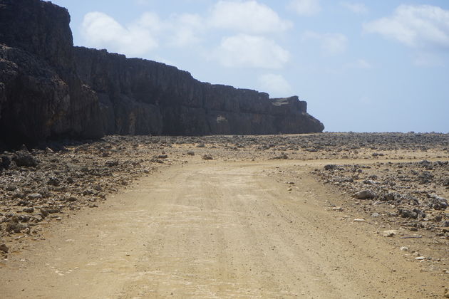 seru-grandi-bonaire.jpeg