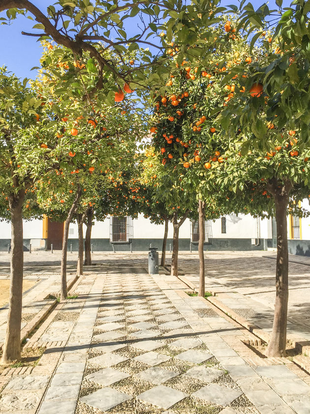 In al die leuke wijken ontdek je dit soort mooie straatjes met sinaasappelbomen