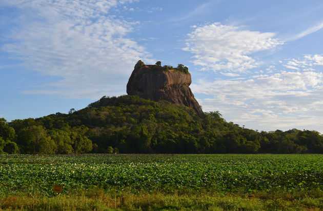 Sigiriya, de leeuwenrots (en UNESCO Werelderfgoed)