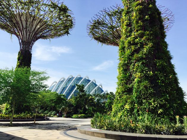 singapore-gardens-by-the-bay