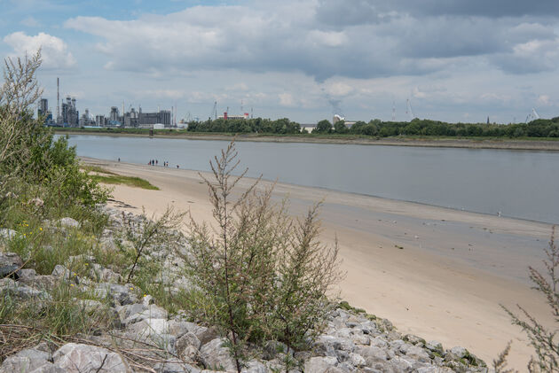 Het Sint-Annestrand is op een zonnige dag de perfecte plek voor een picknick