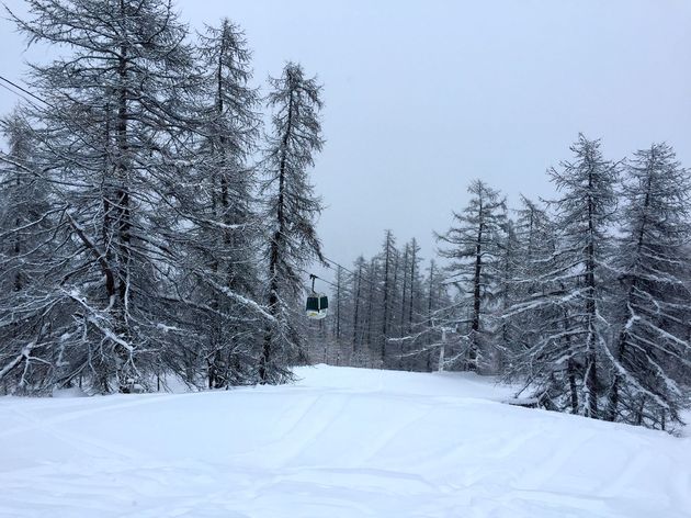 Heerlijk ski\u00ebn tussen de bomen...