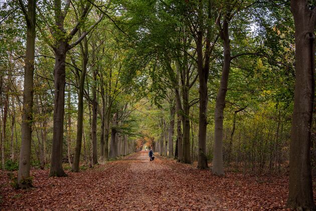 Kloosterdomein de Elsakker is een van de mooiste stukken langs de route