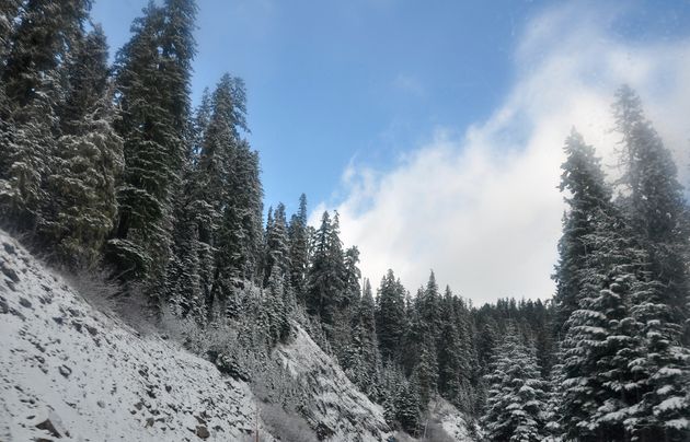Tijdens onze hike begint het te sneeuwen