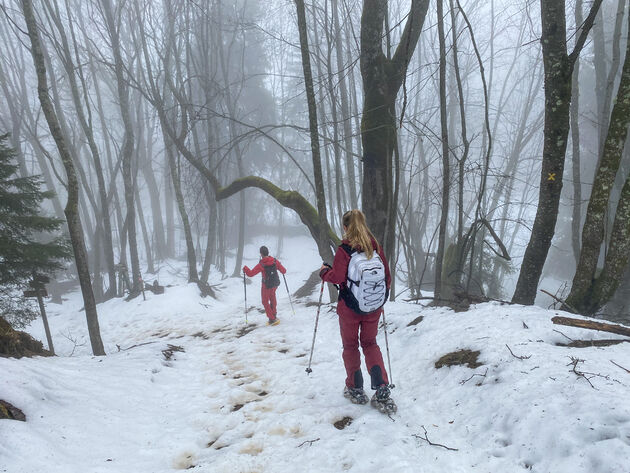 Niet de beste condities, maar een sneeuwschoenwandeling is altijd leuk!