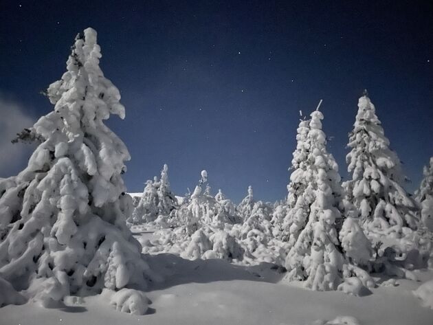 sneeuwschoenwandelen-zweden.jpeg