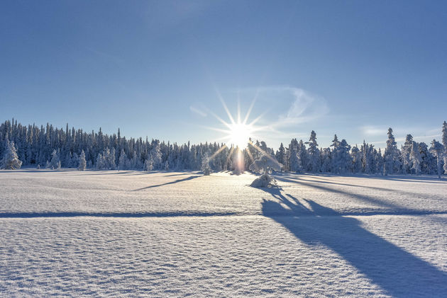 Een stralende dag met een blauwe lucht in Lapland