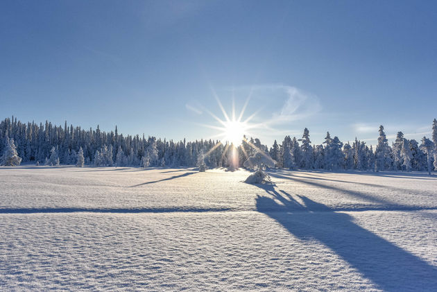 sneeuwscooter-lapland-uitzicht.jpeg