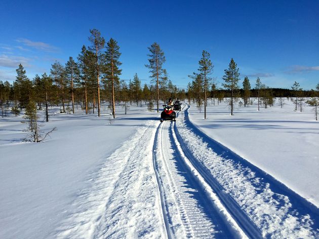 Sneeuwscooteren door Zweeds Lapland!