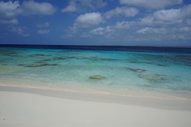 Waarom ik verliefd werd op Bonaire? Dat zie je overduidelijk op de bovenstaande foto.