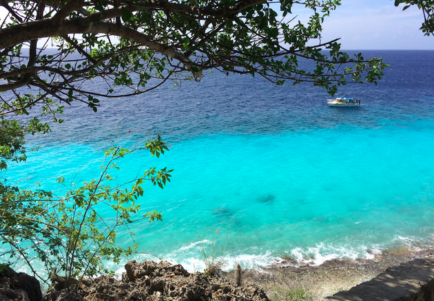 Snorkelen in het heldere blauwe water op Bonaire!