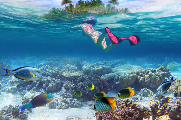 Kleurrijke visjes op Bora Bora