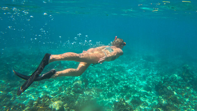 Jamaica is een uitstekende plek om te snorkelen en duiken!