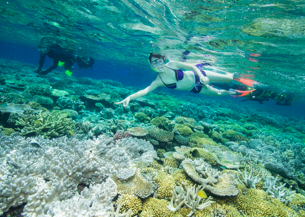 De ultieme snorkelplek: Great Barrier Reef