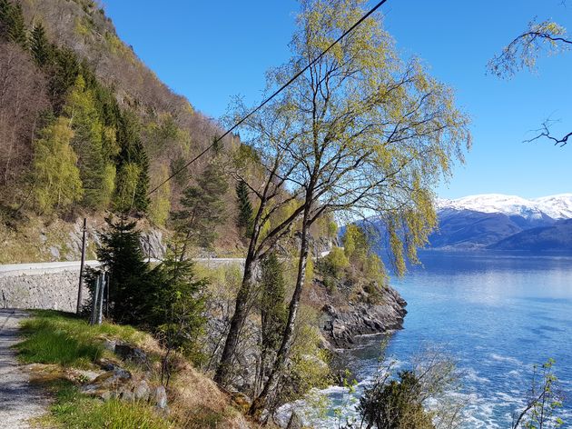 De route langs het Sognefjord