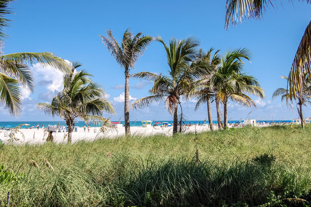 Vanaf Ocean Drive kun je het strand van South Beach zien liggen