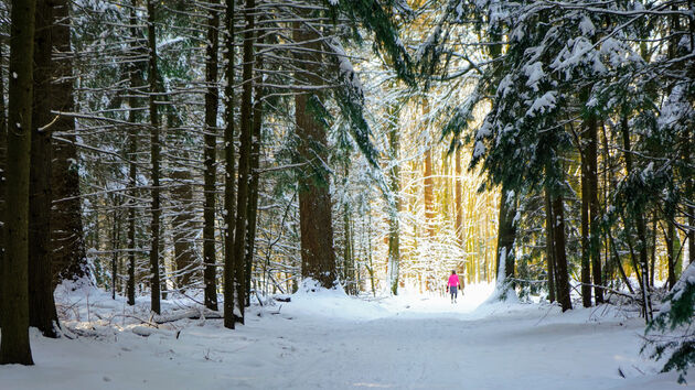 Uren wandelen, wat ree\u00ebn, een boswachter en \u00e9\u00e9n wandelaar tegenkomen