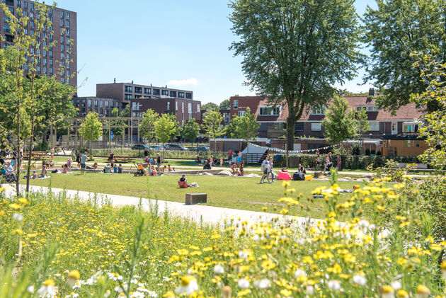 Gezelligheid in het park op zomerse dagen