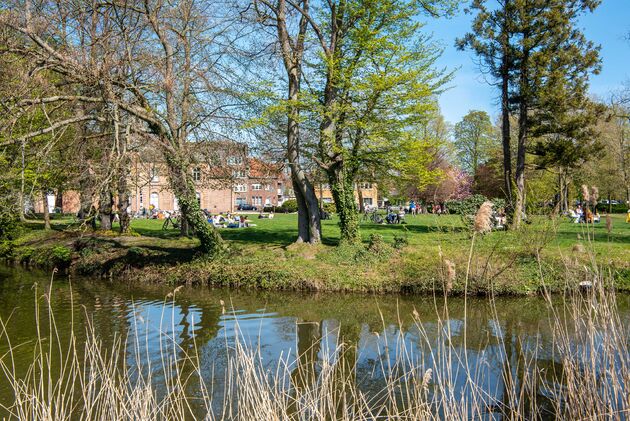 Genieten van een stadspicknick in het Stadspark van Lier