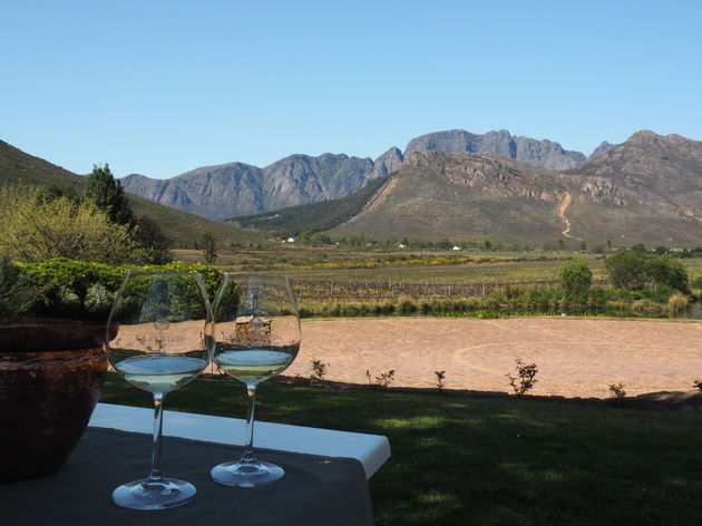 De lekkerste wijnen proef je in Stellenbosch en Franschhoek