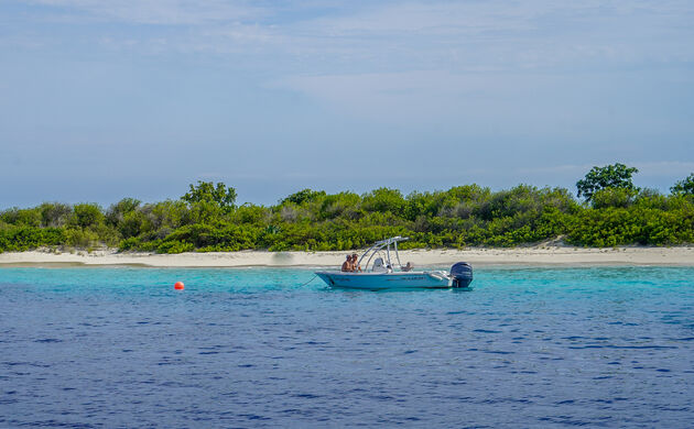 <i>Het Nationaal Marine Park Bonaire behoort tot de gebieden waar Stinapa zich over ontfermt</i>