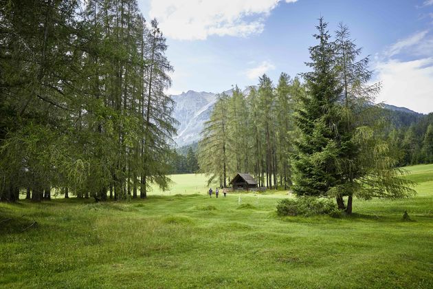 Ook rustige, vlakke wandelingen over glooiende bergweides vind je volop rondom Innsbruck