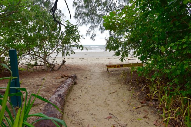 Vanuit het regenwoud loop je zo het strand op